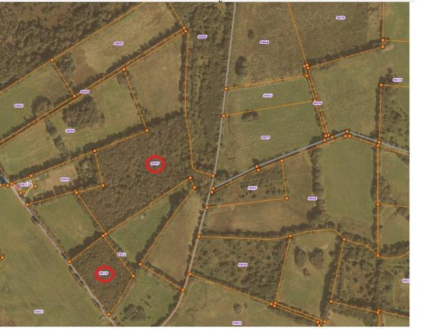 Terrain de loisirs bois Etang à vendre à Langonnet 56630