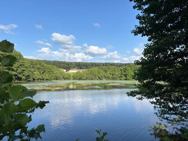Terrain de loisirs bois Etang à vendre à Le Val d'Ajol 88340