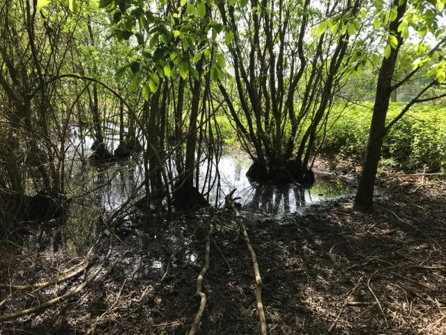 Terrain de loisirs bois Etang à vendre à Lombron 72450