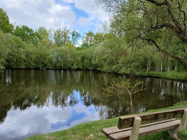 Terrain de loisirs bois Etang à vendre à Quévert 22100
