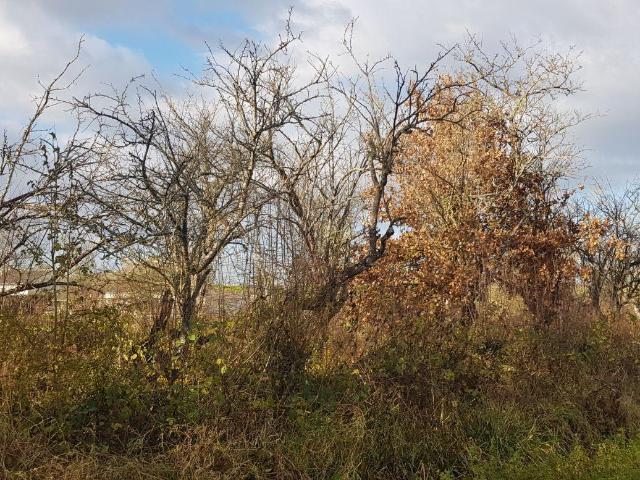 Terrain de loisirs bois Etang à vendre à Rethel 08300