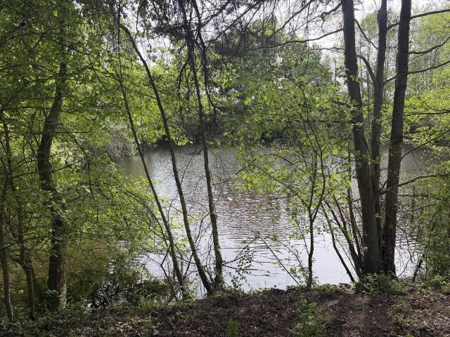 Terrain de loisirs bois Etang à vendre à Saint Martin du Bois 49500