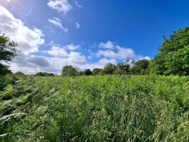 Terrain de loisirs bois Etang à vendre à Saint Nicolas du Pélem 22480
