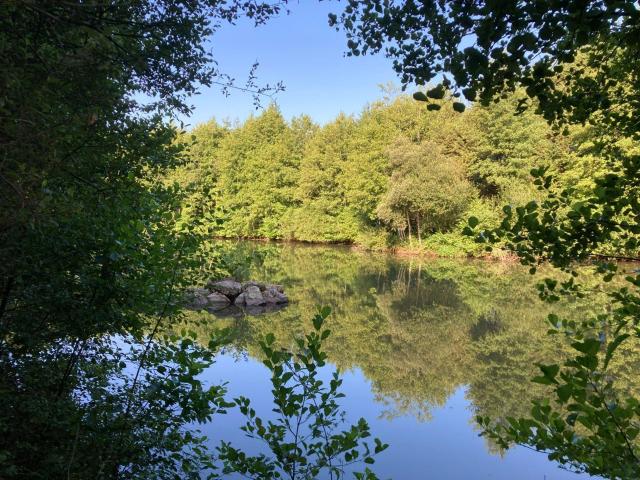 Terrain de loisirs bois Etang à vendre à Saint Aubin du Cormier 35140