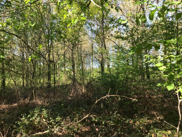 Terrain de loisirs bois Etang à vendre à Saint Denis des Coudrais 72110