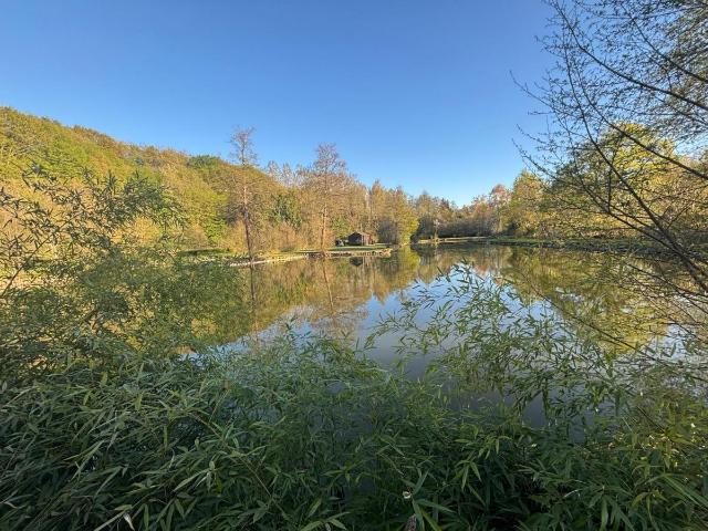 Terrain de loisirs bois Etang à vendre à Saint Denis des Coudrais 72110