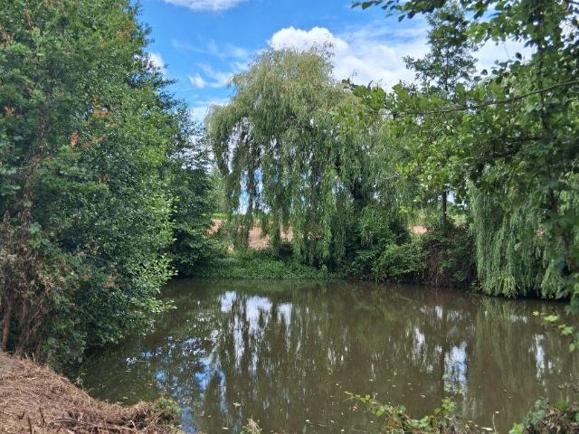 Terrain de loisirs bois Etang à vendre à Saint Jean de la Motte 72510