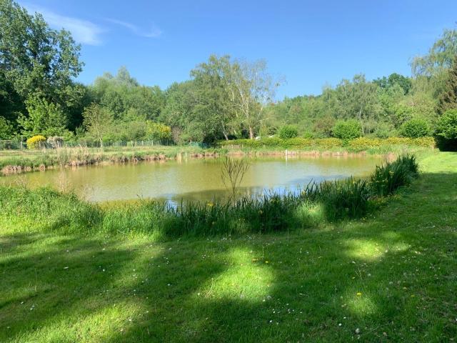Terrain de loisirs bois Etang à vendre à Savigné l'Évêque 72460