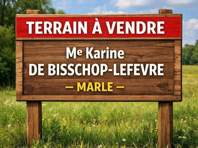 Terrain de loisirs bois Etang à vendre à Sissonne 02150