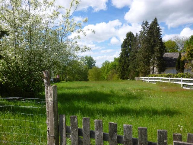 Terrain de loisirs bois Etang à vendre à Tracy sur Loire 58150