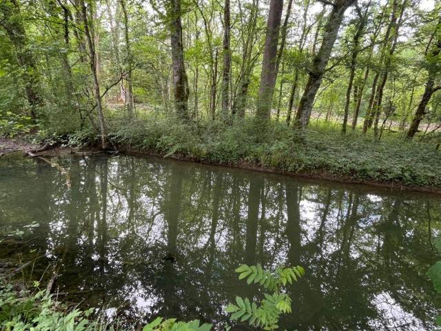 Terrain de loisirs bois Etang à vendre à Villedieu 21330