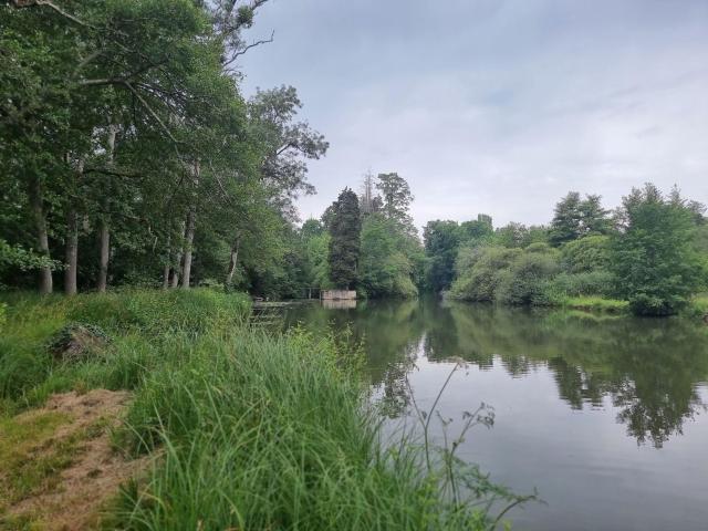 Terrain de loisirs bois Etang à vendre à Villeherviers 41200