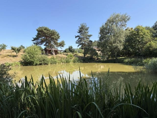 Terrain de loisirs bois Etang à vendre à Vitrac 15220