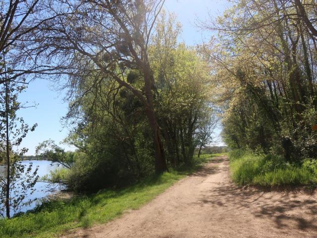 Terrain de loisirs bois Etang à vendre à Vouneuil sur Vienne 86210