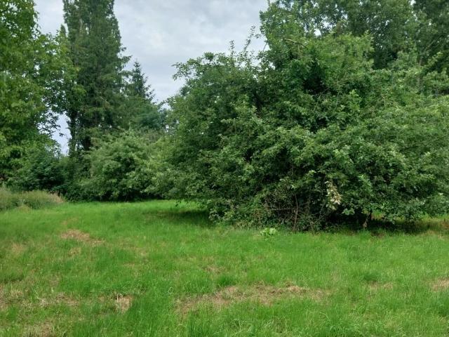 Terrain de loisirs bois Etang à vendre à Wanquetin 62123