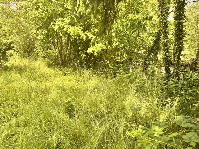 Terrain de loisirs de 485 m2 en bord de rivière