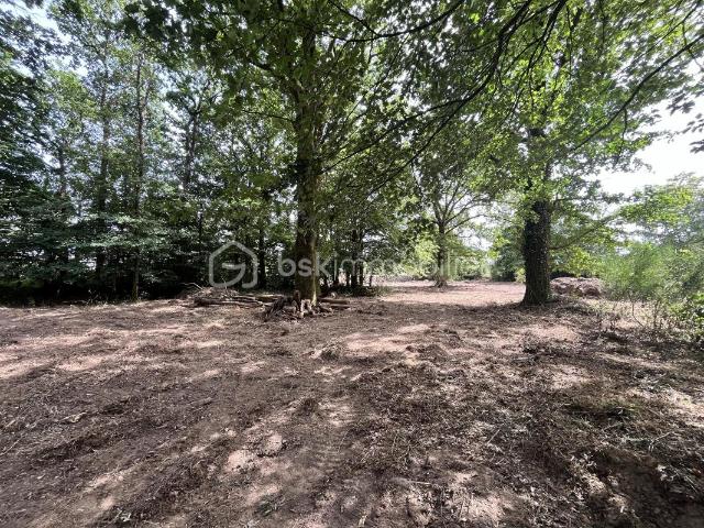 TERRAIN DE LOISIRS DE 5 995 m² – UN HAVRE DE PAIX AU CŒUR DE LA NATURE