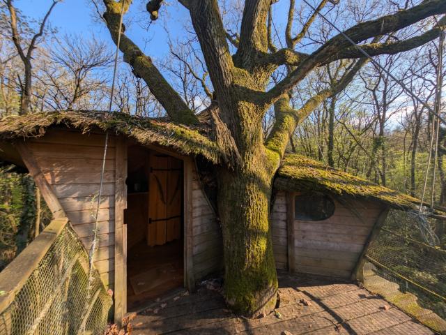 TERRAIN DE LOISIRS et FORESTIER EXCEPTIONNEL 119 633m2 JANVILLE SUR JUINE
