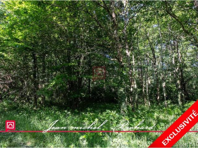 Terrain de loisirs Le Controis En Sologne 63 m2