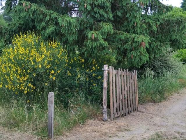 Terrain de loisirs Les Bordes