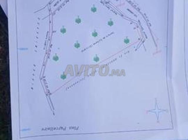 Terrain de 1500m²
