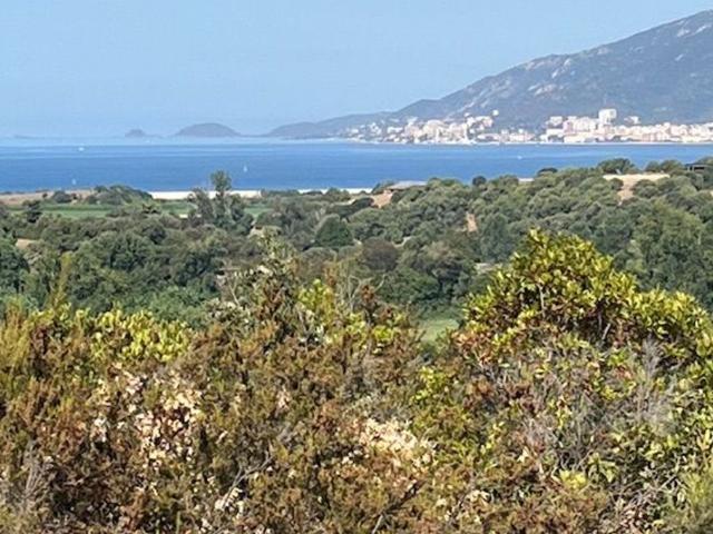 Terrain de 15074 m2 en vente Porticcio, France