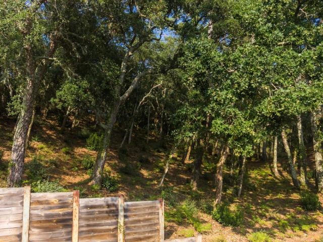 Terrain de 1559 m2 en vente Seignosse, Nouvelle Aquitaine