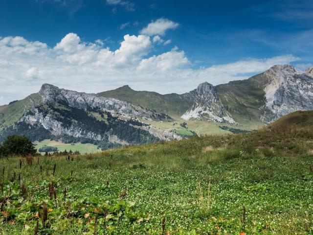 Terrain de 1773 m2 en vente Le Grand Bornand, Auvergne Rhône Alpes