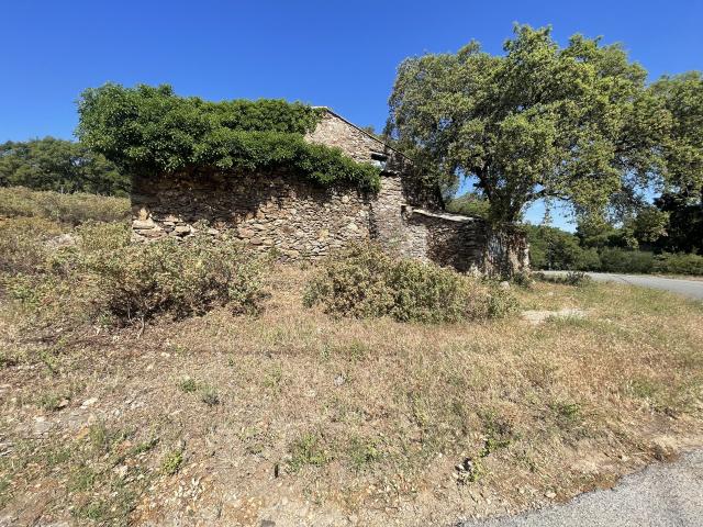 Terrain de 17 hectares avec Bergerie à vendre à 20 minutes du centre ville de Sainte Maxime!