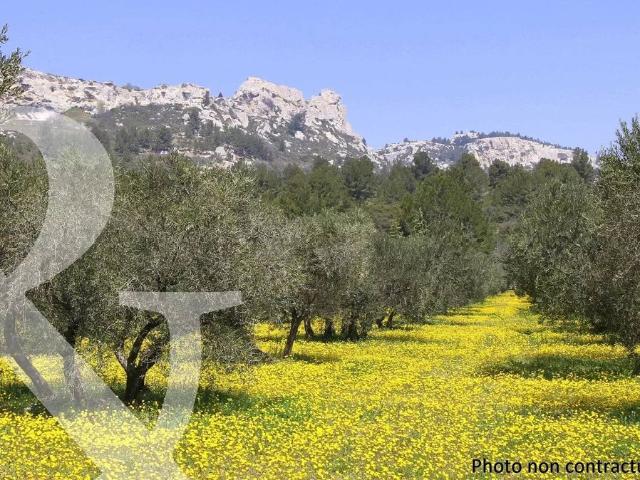 Terrain de 1842 m2 Eygalières, Provence Alpes Côte d'Azur