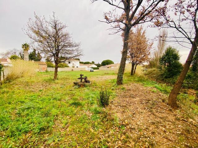 Terrain de 1844 m2 en vente Thuir, Occitanie