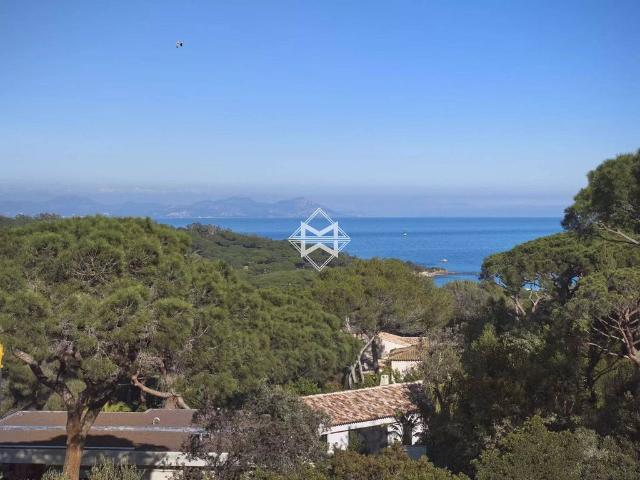 Terrain de 1927 m2 en vente Saint Tropez, Provence Alpes Côte d'Azur