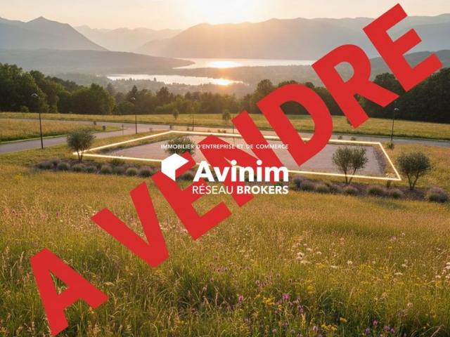 Terrain de 10000 m2 en vente Saint Sulpice, Auvergne Rhône Alpes