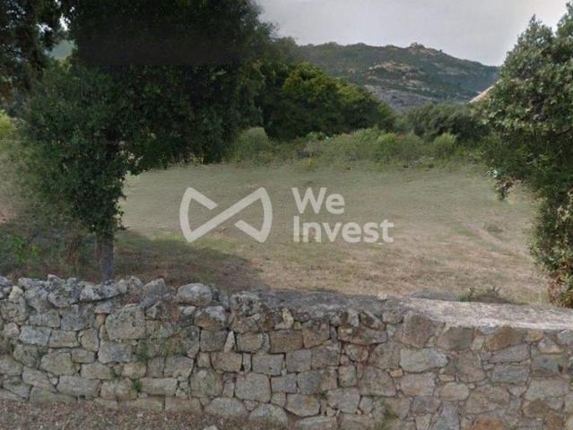 Terrain de 1000 m2 en vente Calvi, Corse