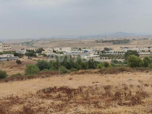Terrain de 1000 mètres à vendre à Tanger Ain Dalia
