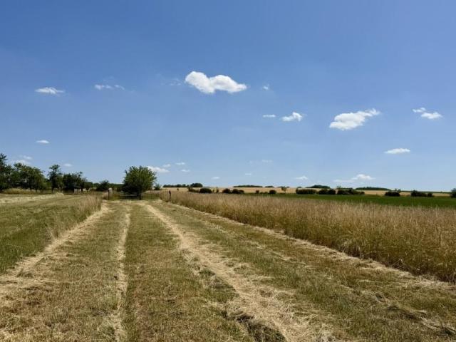 Terrain de 1024 m² m²