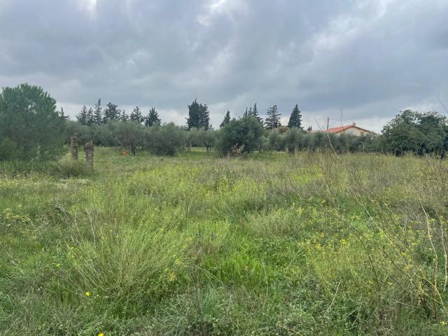 TERRAIN DE 300 M² A JONQUIERES SAINT VINCENT