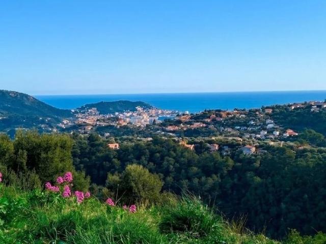 Terrain de 1065 m2 en vente Falicon, France