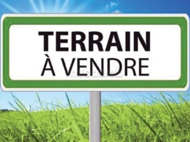 Terrain de 1100 m2 à Californie