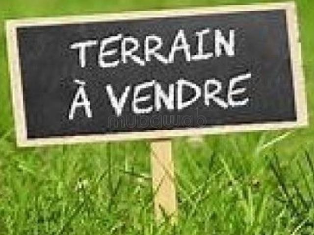 Terrain de 1100 m2 au beau côté de longchamps