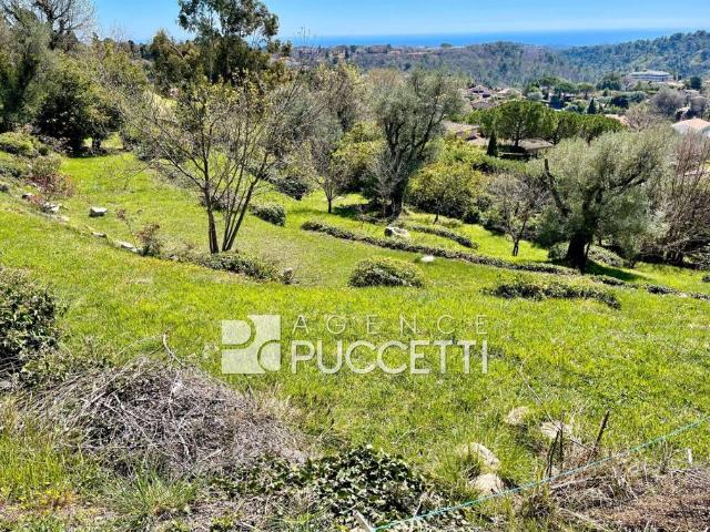 Terrain de 1130 m2 en vente Vence, France