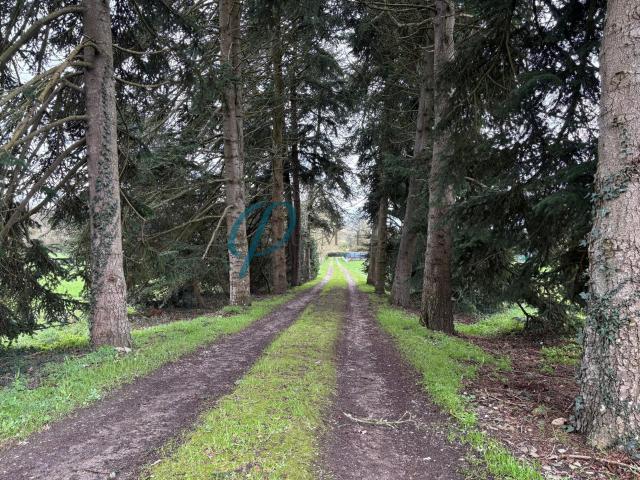 Terrain de 1169m2 — Projet de réhabilitation avec vue imprenable sur la campagne