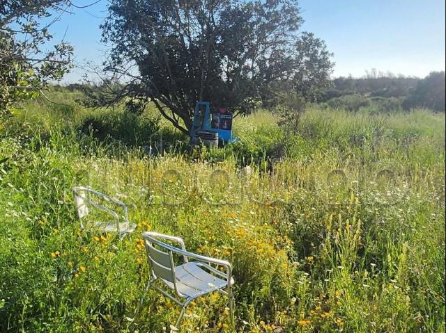 Terrain de 12000m²