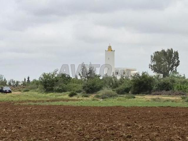 Terrain de 1,54H pour maison ou projet agricole