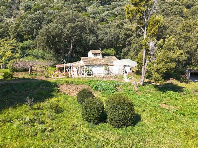 Terrain de 1,5ha avec villa à rénover !