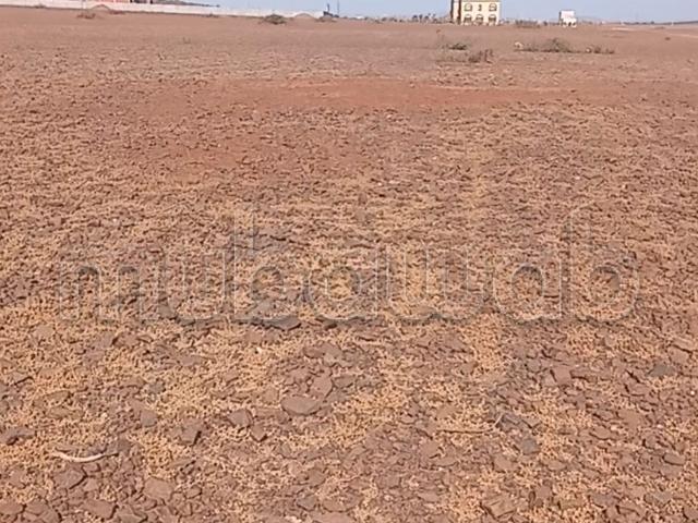 Terrain de 1 hectare 6000 m² à vendre