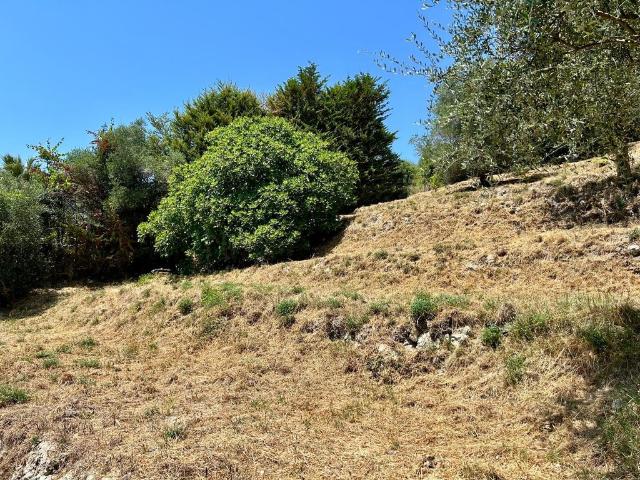 Terrain de 2400 m2 en vente Falicon, France