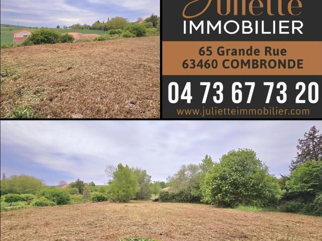 TERRAIN DE 2412m2 DONT 703m2 CONSTRUCTIBLE