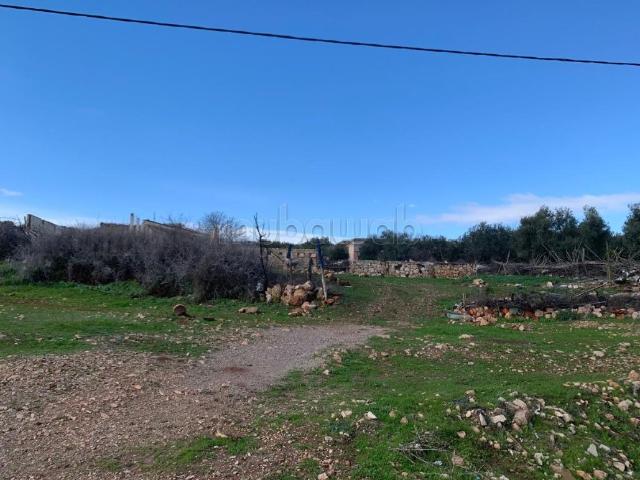 Terrain de 2470 m² entre Fès et Sefrou