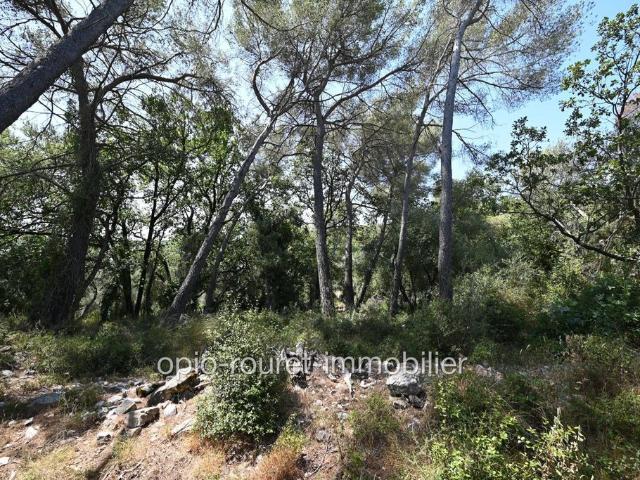 Terrain de 2500 m2 Roquefort les Pins, Provence Alpes Côte d'Azur